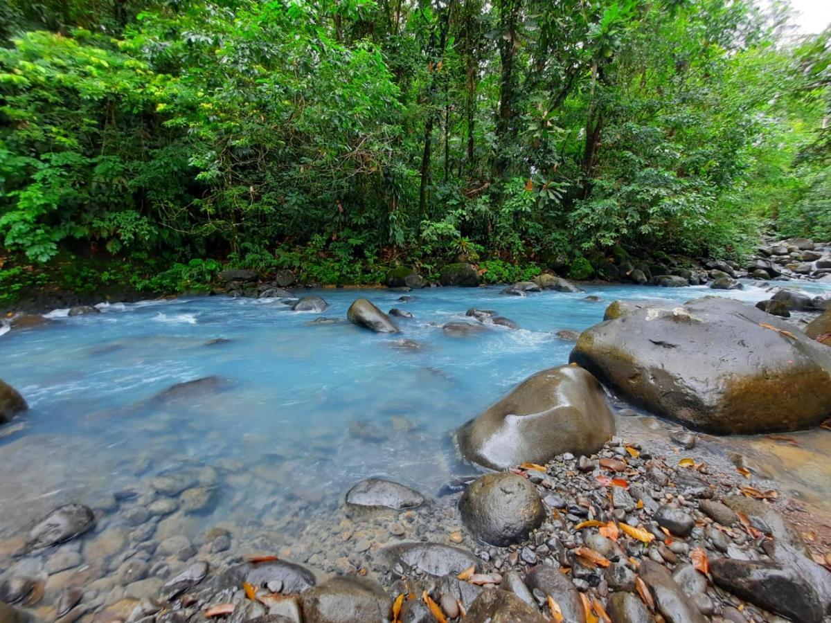 Cabanas Montanas Del Tenorio Rio Celeste Εξωτερικό φωτογραφία